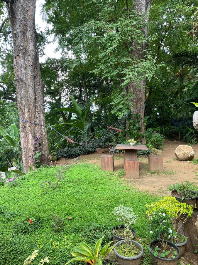 Pearl'S Homestay Matale Kültér fotó