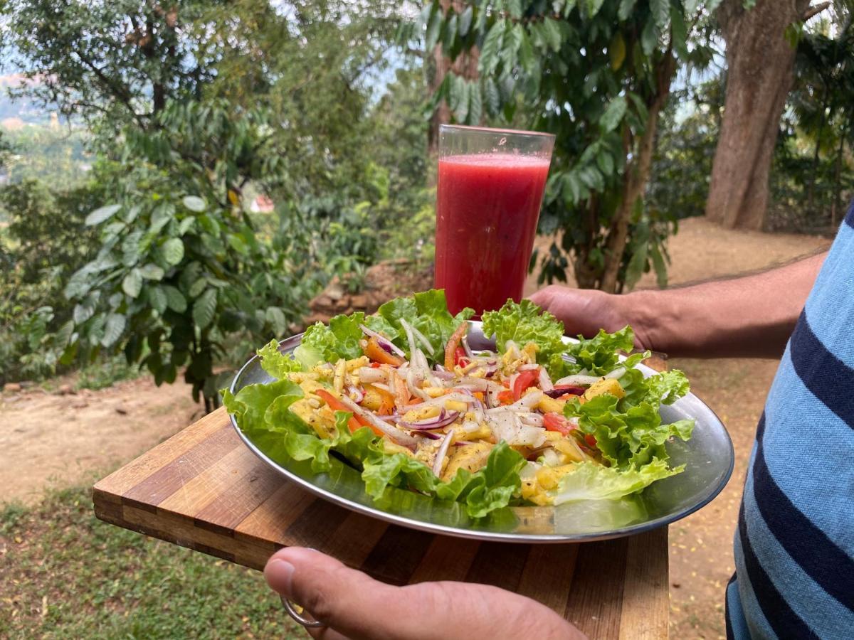 Pearl'S Homestay Matale Kültér fotó