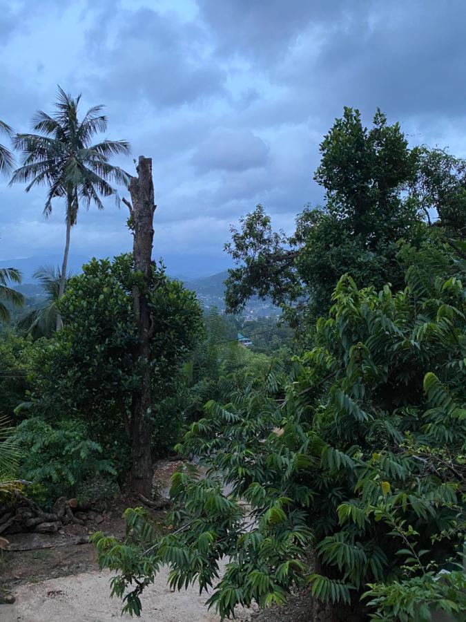 Pearl'S Homestay Matale Kültér fotó