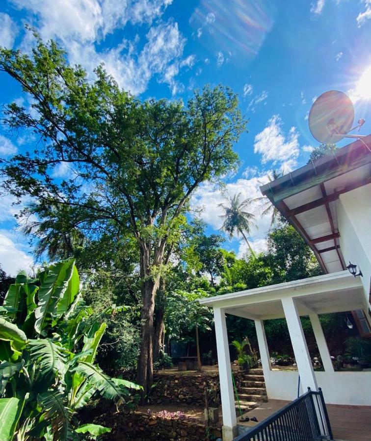Pearl'S Homestay Matale Kültér fotó